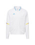 ADIDAS PERFORMANCE Geacă sport 'Designed For Gameday Anthem' albastru / galben / alb - Pled.ro