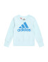 ADIDAS SPORTSWEAR Hanorac sport turcoaz / albastru deschis - Pled.ro