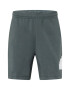 ADIDAS SPORTSWEAR Pantaloni sport 'BOS SHO' verde petrol / alb - Pled.ro