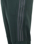 ADIDAS SPORTSWEAR Pantaloni sport 'Run' verde închis - Pled.ro