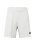 ADIDAS SPORTSWEAR Pantaloni sport 'Z.N.E. Premium' gri deschis / negru - Pled.ro