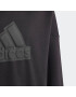 ADIDAS SPORTSWEAR Pulovere sport 'Future Icons Logo' negru - Pled.ro