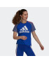 ADIDAS SPORTSWEAR Tricou funcțional albastru fumuriu / albastru regal / roșu / alb - Pled.ro