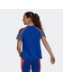 ADIDAS SPORTSWEAR Tricou funcțional albastru fumuriu / albastru regal / roșu / alb - Pled.ro