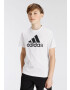 ADIDAS SPORTSWEAR Tricou funcțional 'Essentials' gri metalic / alb murdar - Pled.ro