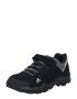 ADIDAS TERREX Pantofi 'Ax2R Cf' gri / gri închis / negru / alb - Pled.ro