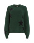 AllSaints Pulover 'STAR TINSEL' albastru marin / verde închis - Pled.ro