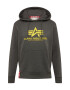 ALPHA INDUSTRIES Bluză de molton 'Basic Hoody' galben / gri grafit - Pled.ro