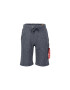 ALPHA INDUSTRIES Pantaloni gri - Pled.ro