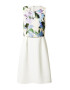 APART Rochie de cocktail crem / albastru deschis / verde / lila - Pled.ro