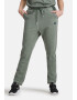 ARENA Pantaloni sport 'ICONS' verde - Pled.ro