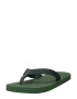 ARMANI EXCHANGE Flip-flops verde închis - Pled.ro