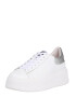 ASH Sneaker low 'Moby' gri argintiu / alb - Pled.ro