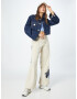 BDG Urban Outfitters Pantaloni crem / bleumarin / albastru deschis - Pled.ro