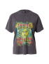 BDG Urban Outfitters Tricou 'INNER PEACE' galben / gri închis / verde jad / roz - Pled.ro