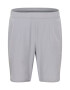 BIDI BADU Pantaloni sport 'Henry 2.0 Tech' gri - Pled.ro