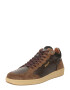 Blauer.USA Sneaker low maro / maro închis / negru - Pled.ro