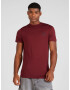 bleed clothing Tricou 'Light-Breeze' roșu bordeaux - Pled.ro