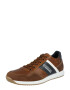 BULLBOXER Sneaker low bleumarin / maro / alb - Pled.ro