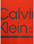 Calvin Klein Big & Tall Tricou gri / portocaliu - Pled.ro