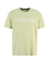 Calvin Klein Big & Tall Tricou verde / alb - Pled.ro