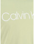 Calvin Klein Big & Tall Tricou verde / alb - Pled.ro