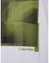 Calvin Klein Big & Tall Tricou verde măr / verde pin / alb - Pled.ro