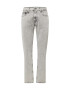 Calvin Klein Jeans Jeans 'Authentic' gri deschis - Pled.ro