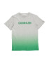 Calvin Klein Jeans Tricou gri amestecat / verde - Pled.ro