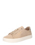 Calvin Klein Sneaker low nisipiu / argintiu - Pled.ro