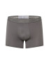 Calvin Klein Underwear Boxeri gri deschis / gri închis - Pled.ro