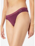 Calvin Klein Underwear Tanga lila / alb - Pled.ro