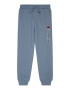 Champion Authentic Athletic Apparel Pantaloni bleumarin / albastru porumbel / alb - Pled.ro