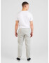 Champion Authentic Athletic Apparel Pantaloni gri - Pled.ro