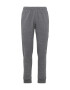 Champion Authentic Athletic Apparel Pantaloni gri amestecat - Pled.ro