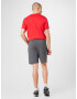 Champion Authentic Athletic Apparel Pantaloni gri închis / alb - Pled.ro