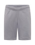 Champion Authentic Athletic Apparel Pantaloni gri / roșu / alb - Pled.ro