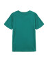 Champion Authentic Athletic Apparel Tricou 'Classic' verde smarald / roșu / alb - Pled.ro