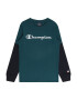 Champion Authentic Athletic Apparel Tricou bleumarin / verde petrol / roși aprins / alb - Pled.ro