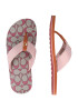 COACH Flip-flops 'Zoe' maro coniac / roz - Pled.ro