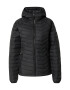 COLUMBIA Geacă outdoor 'EU Powder' negru - Pled.ro