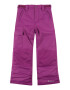 COLUMBIA Pantaloni outdoor 'Bugaboo II' gri deschis / mov zmeură - Pled.ro