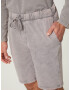 DAN FOX APPAREL Pantaloni 'Connor' gri - Pled.ro