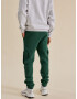 DAN FOX APPAREL Pantaloni cu buzunare 'Taylor Heavyweight' verde - Pled.ro