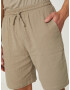 DAN FOX APPAREL Pantaloni 'Yasin' gri taupe - Pled.ro