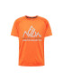 DARE2B Tricou funcțional gri / gri deschis / roșu orange - Pled.ro