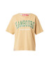 Derbe Tricou maro caramel / verde / alb - Pled.ro