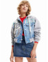 Desigual Hanorac 'BUNNY' albastru denim / gri / verde jad / alb - Pled.ro