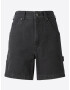 DICKIES Pantaloni 'DUCK' alb - Pled.ro