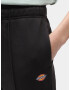 DICKIES Pantaloni negru - Pled.ro